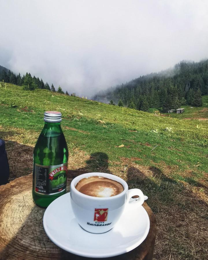 Milmari Resort - Apartman L43 Kopaonik Buitenkant foto