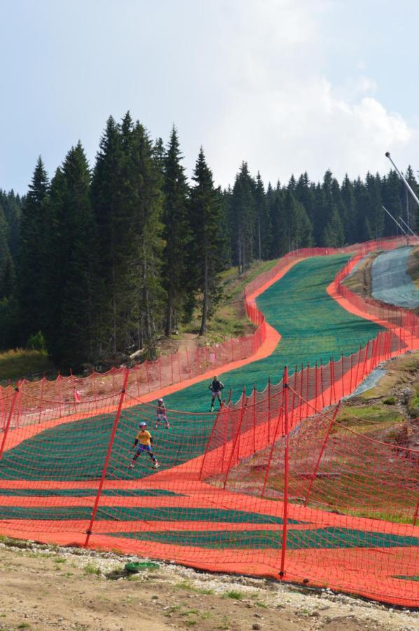Milmari Resort - Apartman L43 Kopaonik Buitenkant foto